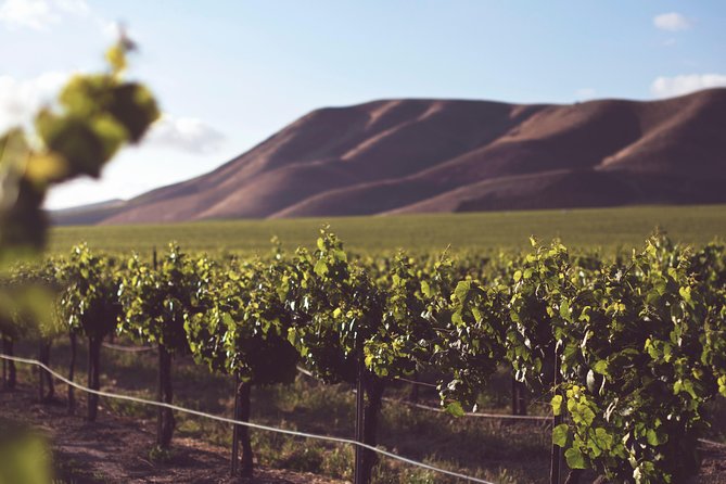 Private Cape Winelands Wine Tasting Tour - Pricing Details