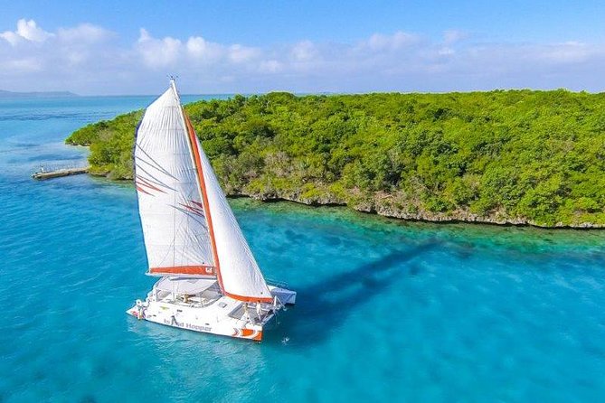 Private Charter Full Day Cruise: Île Aux Cerfs - Itinerary and Meeting Details