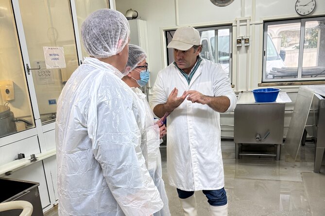 Private Cheese Factory Visit, Tile Painting and Wine Tasting Tour - Accessibility and Participation