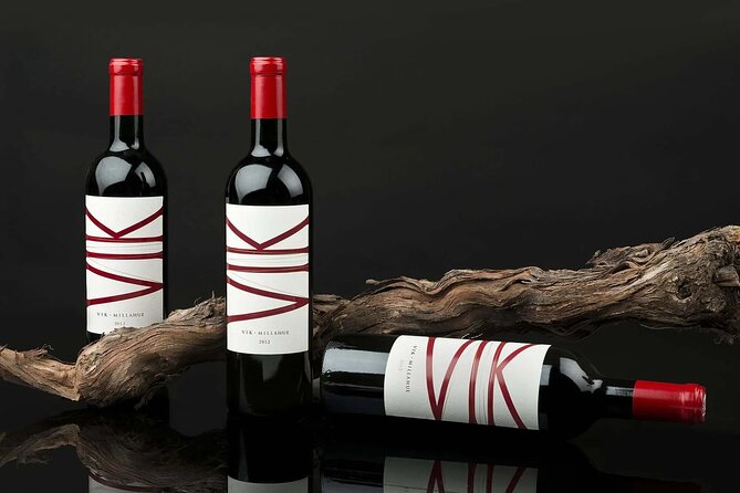 Private Colchagua VIK and Montes Wineries Experience - Discovering Montes Winerys Legacy
