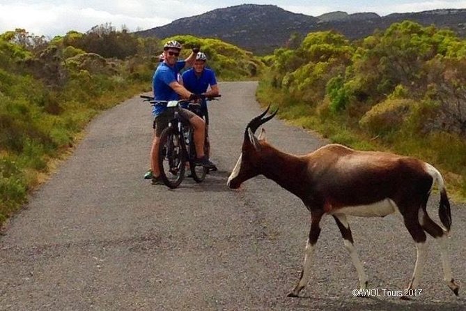 Private Cycling Tour to Cape Point From Cape Town - Tour Logistics and Booking