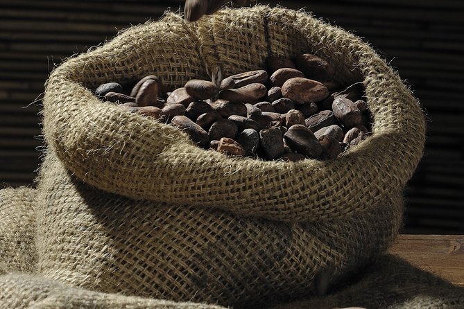 Private Dark Chocolate Tasting Tour in Paris - Meeting Location and Pickup