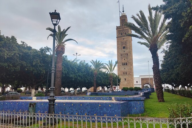 Private Day Tour From Marrakech to Casablanca - Traveler Reviews and Feedback