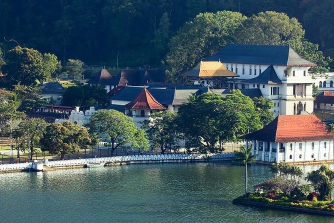 Private Day Tour Kandy to Nuwara Eliya Tea Plantation - Itinerary Highlights
