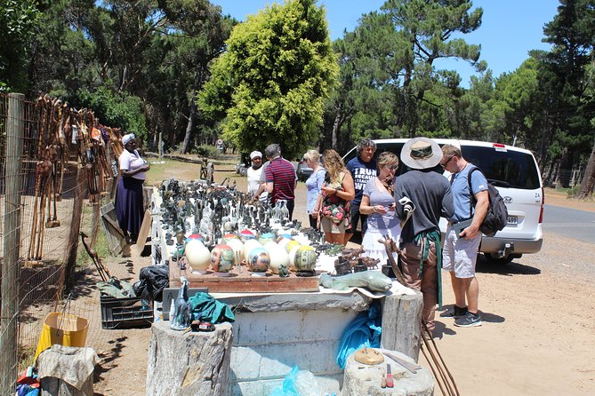 Private Day Tour to Cape of Good Hope Penguins Inc Entry Tickets From Cape Town - Tour Inclusions