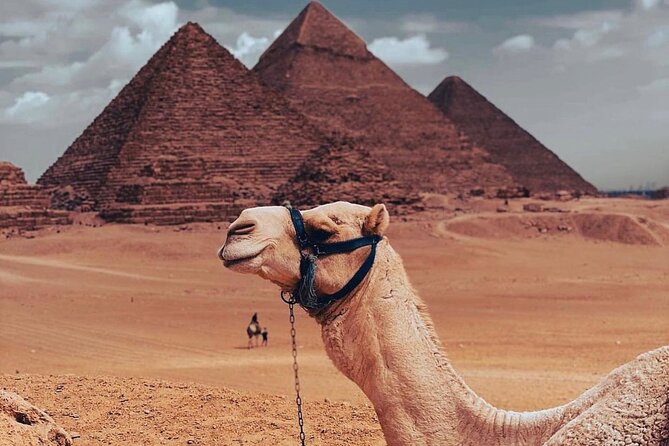 Private Day Tour to Giza Pyramids, Saqqara, and Memphis - Inclusions and Amenities