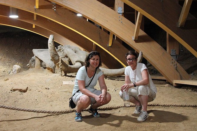 Private Day Tour to Viminacium and Smederevo Fortress - Itinerary Highlights