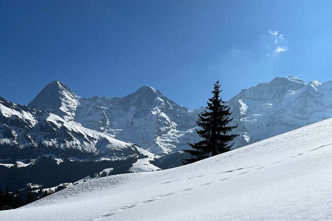 Private Day Trip in the Heart of the ALPS - Jungfrau Region - Highlights of the Private Tour