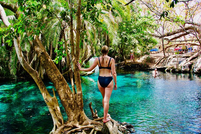 Private Day Trip to Kikuletwa Hot Springs in Kilimanjaro - Inclusions and Amenities