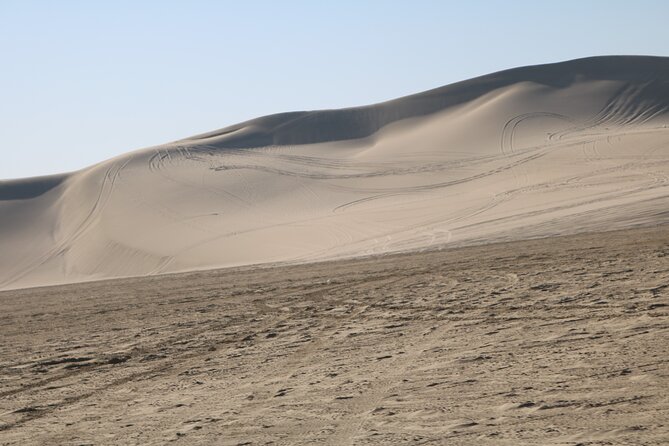 Private Desert Safari Tour 4 Hours - Pickup Information
