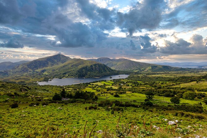 Private Discover Ring of Beara Tour in a Limousine From Killarney - Tour Details and Accessibility