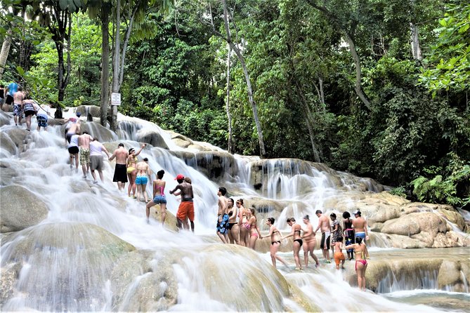 Private Dunns River Falls Day Trip From Montego Bay and Grand Palladium - Inclusions and Costs