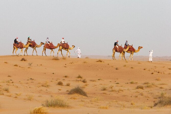 Private Evening Desert Safari BBQ Dinner & Camel Ride & Live Show - Adventurous Activities Included