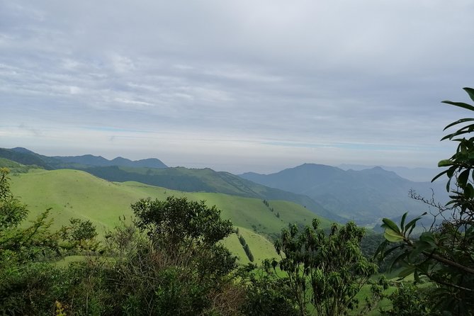 Private Excursion to Yanacocha Reserve- Bird Watch - Inclusions and Highlights