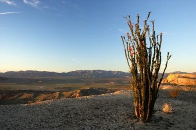 Private Expedition to Anza-Borrego State Park - Included Amenities and Gear