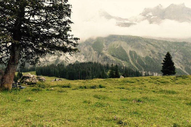 Private Fishing Trip in the Swiss Alps From Bern - Additional Details