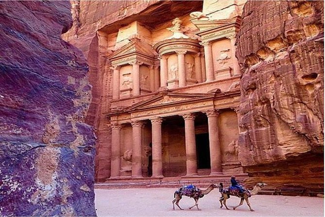 Private Full-Day Aqaba Shore Excursion to Petra and Wadi Rum - Transportation and Logistics for the Tour