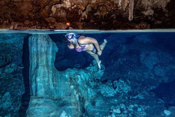 Private Full-Day: Dolphin & Monkey Jungle Adventure - Whats Included
