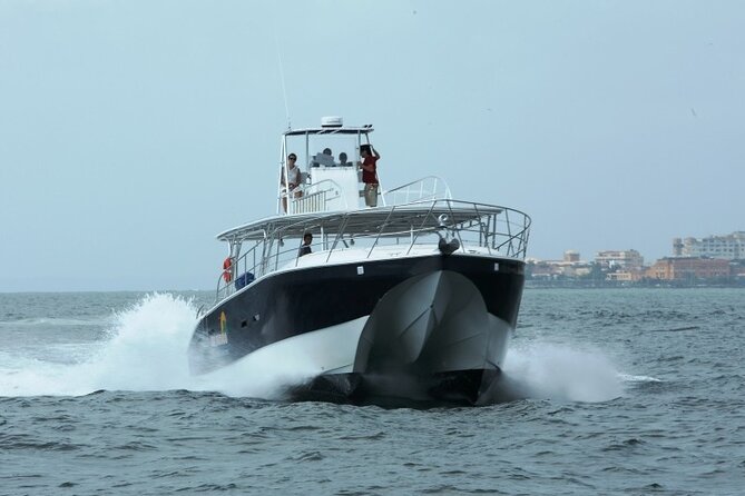 Private Full Day Fun Charter Aboard MV Sea Wolf - Inclusions