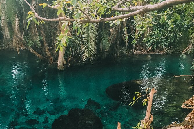 Private Full-Day Materuni Waterfalls and Kikuletwa Hotspring - Exploring Kikuletwa Hotspring