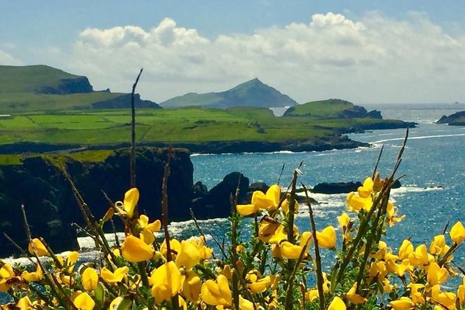 Private Full Day Tour From Killarney - Ring of Kerry/Skellig - Pickup Information