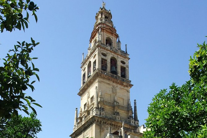 Private Full Day Tour of Cordoba & Medina Azahara With Hotel Pick up & Drop off - Pricing Information