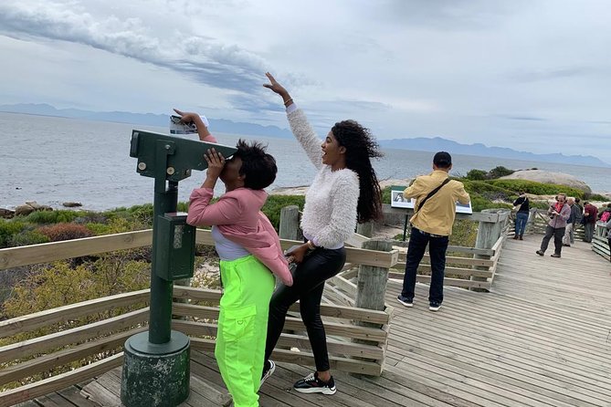 Private Full Day Tour To Cape Point, Penguins With Table Mountain. - Inclusions and Pricing