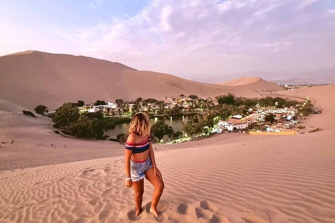 Private Full Day Tour to Paracas, Ica and Huacachina From Lima - Health and Accessibility