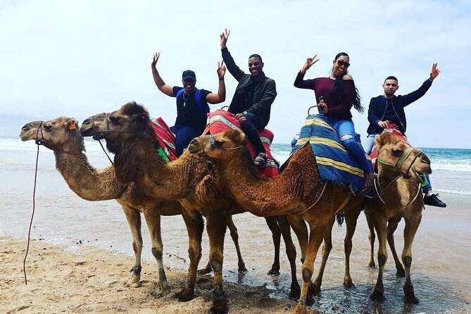 Private Full Day Trip of Tangier - Transportation and Amenities