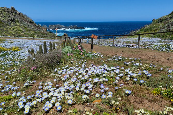 Private Garden Tour in Central Coast of Chile With Lunch Included - Meeting and Pickup Details