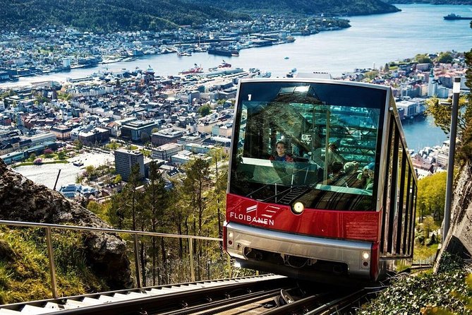 Private Guided Tour - City Sightseeing, Bergens Top Attractions - Mount Floyen and Panoramic Views