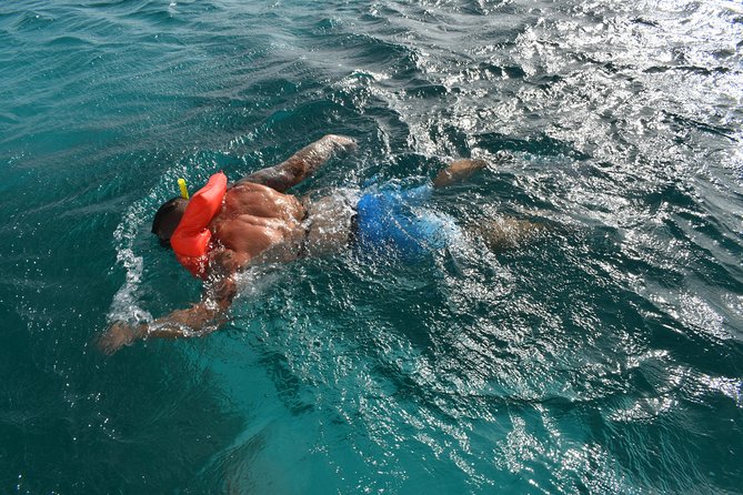 Private Half Day Charter - Schedule and Availability