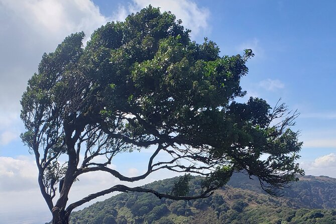 Private Half Day Hike to Ngong Hills From Nairobi - Whats Included in the Tour