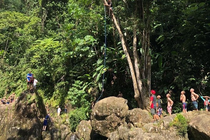 Private Half-Day Puerto Rico Island of Enchantment Beach and Jungle Adventure - Customized Itinerary for Travelers