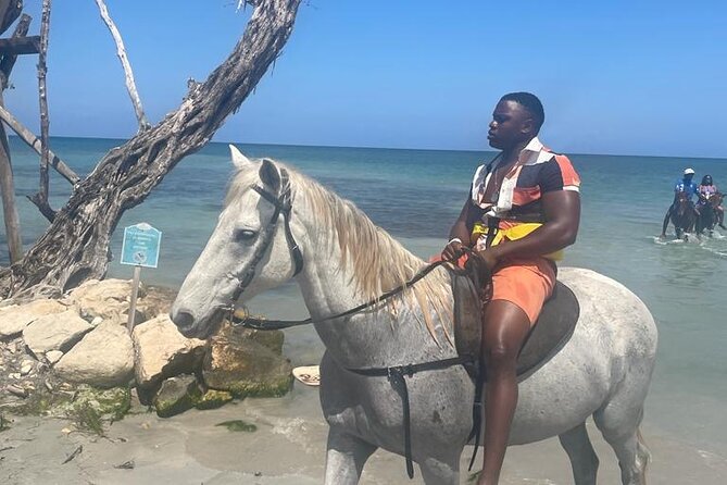 Private Horse Back Riding and Blue Hole From Montegobay - Inclusions