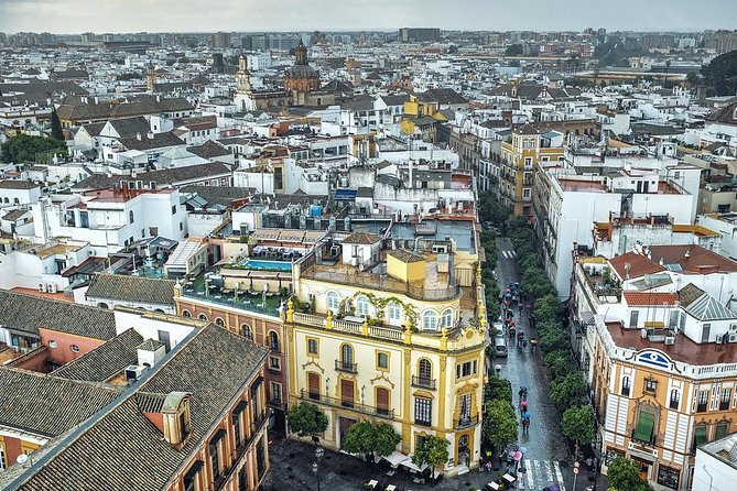 Private Horse Carriage Ride and Walking Tour of Seville - Admiring Torre De Oro
