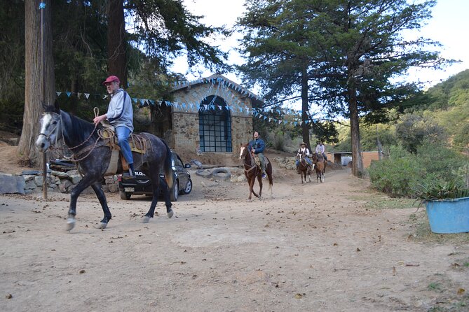 Private Horseback Ride on El Camino Real in Guanajuato - Meeting and Pickup