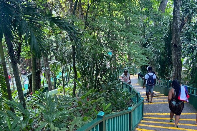 Private Horseback Riding, Swimming and Dunns River Falls Tour - Pickup and Drop-off