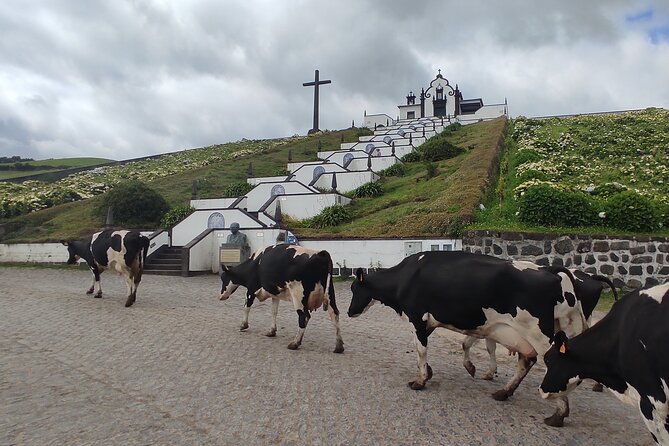 Private Jeep Tour in São Miguel Island - Tour Overview Highlights
