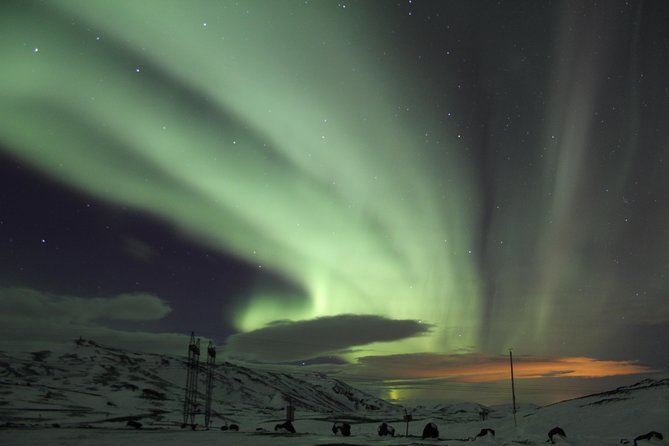 Private Monster Truck Northern Lights Hunt From Reykjavik - Unique Monster Truck Experience