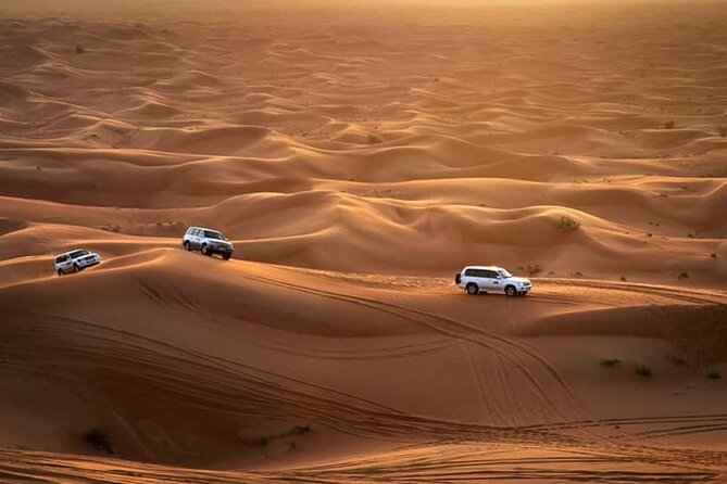 Private Morning Desert Safari From Dubai - Pickup Details