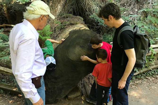 Private Muir Woods and Sausalito Half Day Tour - Transportation and Accessibility