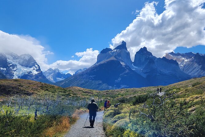 Private Multi-Day Guided Tour Torres Del Paine - Included Services