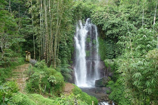 Private Munduk Waterfalls Trekking Tour - Itinerary Details