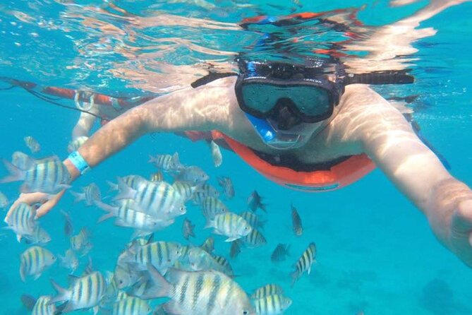 Private MUSA Snorkeling Experience at Isla Mujeres and Cancun - Inclusions