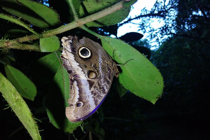 Private Night Observation Hike - Health and Safety Considerations