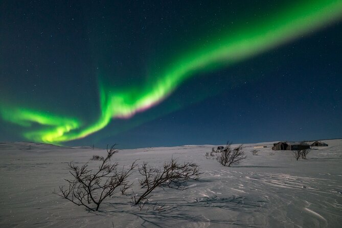Private Northern Lights Hunt - Additional Information
