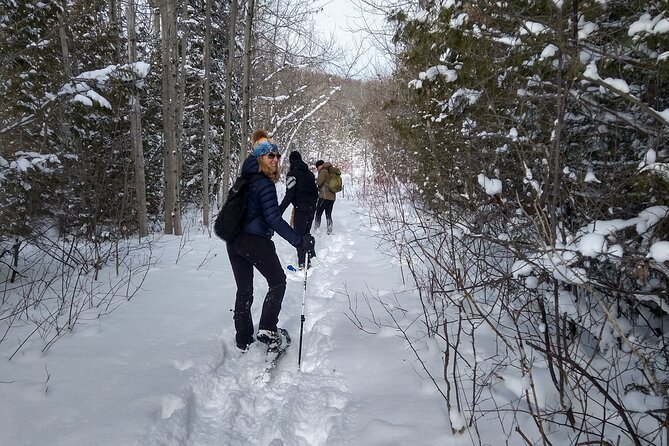 Private Nottawasaga Bluffs Caves Snowshoe, Collingwood/Creemore - Meeting Information