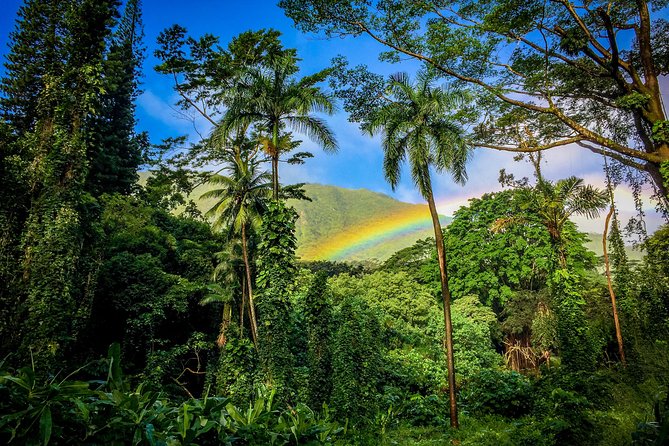 Private Oahu Van Tour - Customizable Itinerary Options