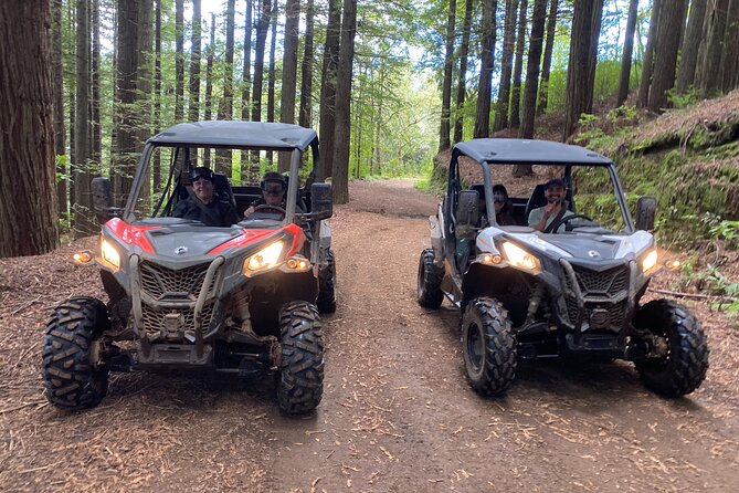 Private Off-road Buggy Driving Experience Review - Scenic Photo Opportunities